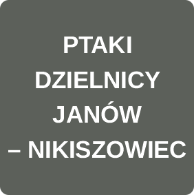 PTAKI DZIELNICY JAN&Oacute;W - NIKISZOWIEC.
