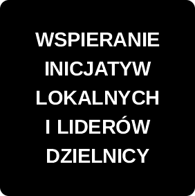 WSPIERANIE INICJATYW LOKALNYCH I LIDER&Oacute;W DZIELNICY
